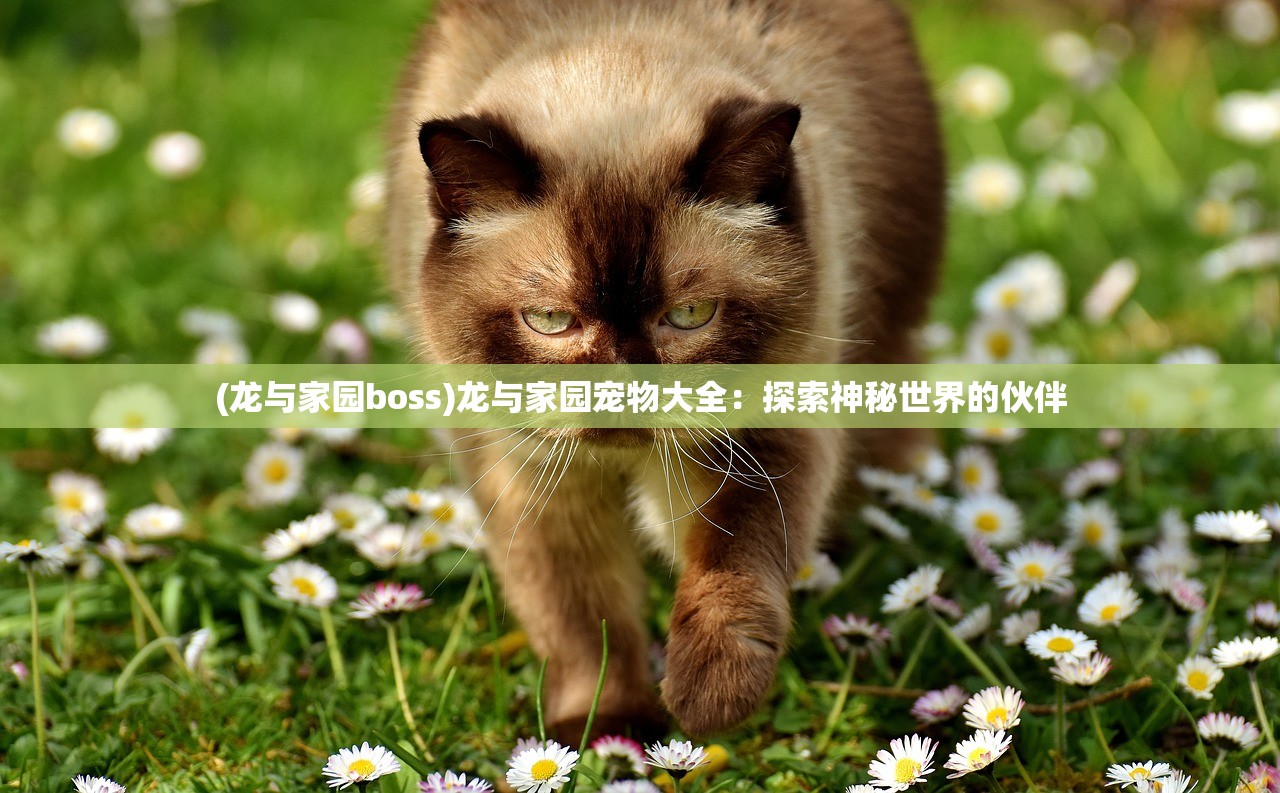 (归龙归龙)归龙潮烛瞳cp超话：热议瞩目的虐恋之情