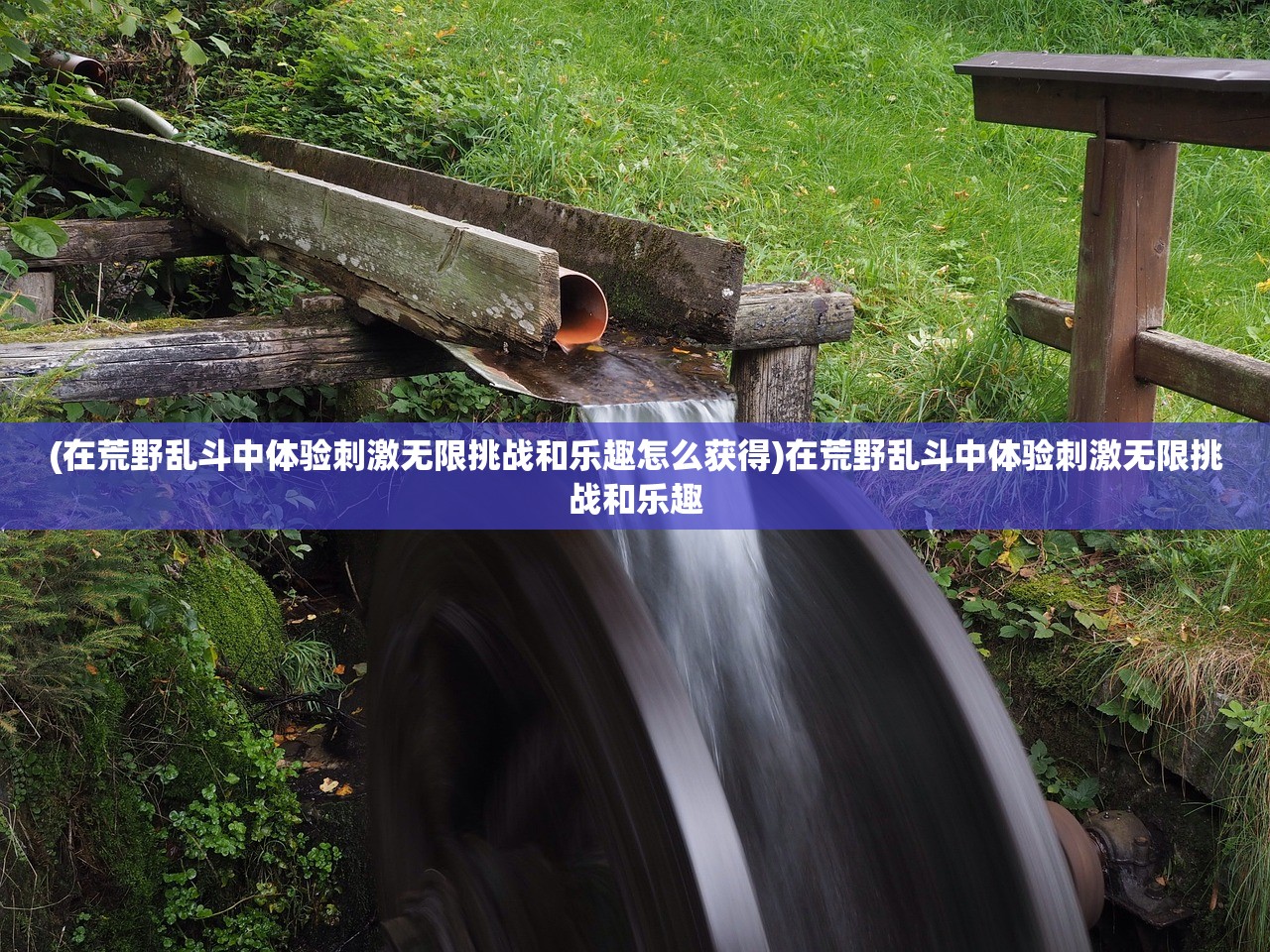 (代号gara。)代号G1手游,全新体验与深度解析 (代号gara。)代号G1手游,全新体验与深度解析