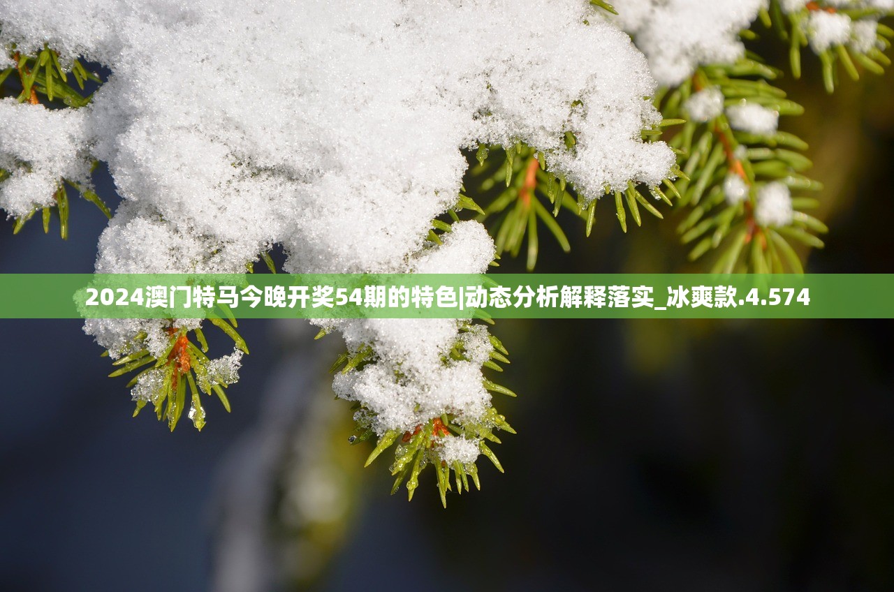 (三国群英传贾诩将灵怎么获得)群英猛将传贾诩技能详解及策略应用指南