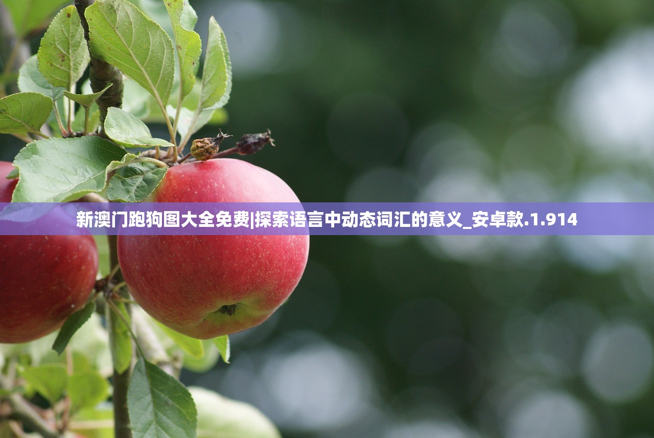 新澳门跑狗图大全免费|探索语言中动态词汇的意义_安卓款.1.914 新澳门跑狗图大全免费|探索语言中动态词汇的意义_安卓款.1.914