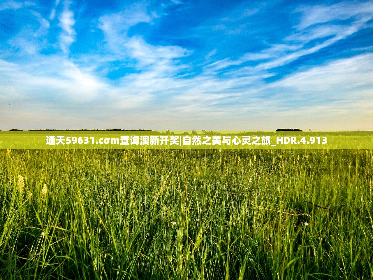 (wsc仙界传2)仙界传2攻略大全及常见问答解析