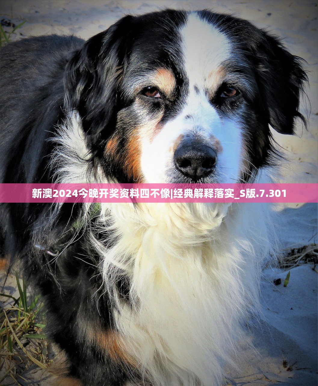 (恐怖躲猫猫2旧版本下载)恐怖躲猫猫2，生存与隐匿的极致挑战