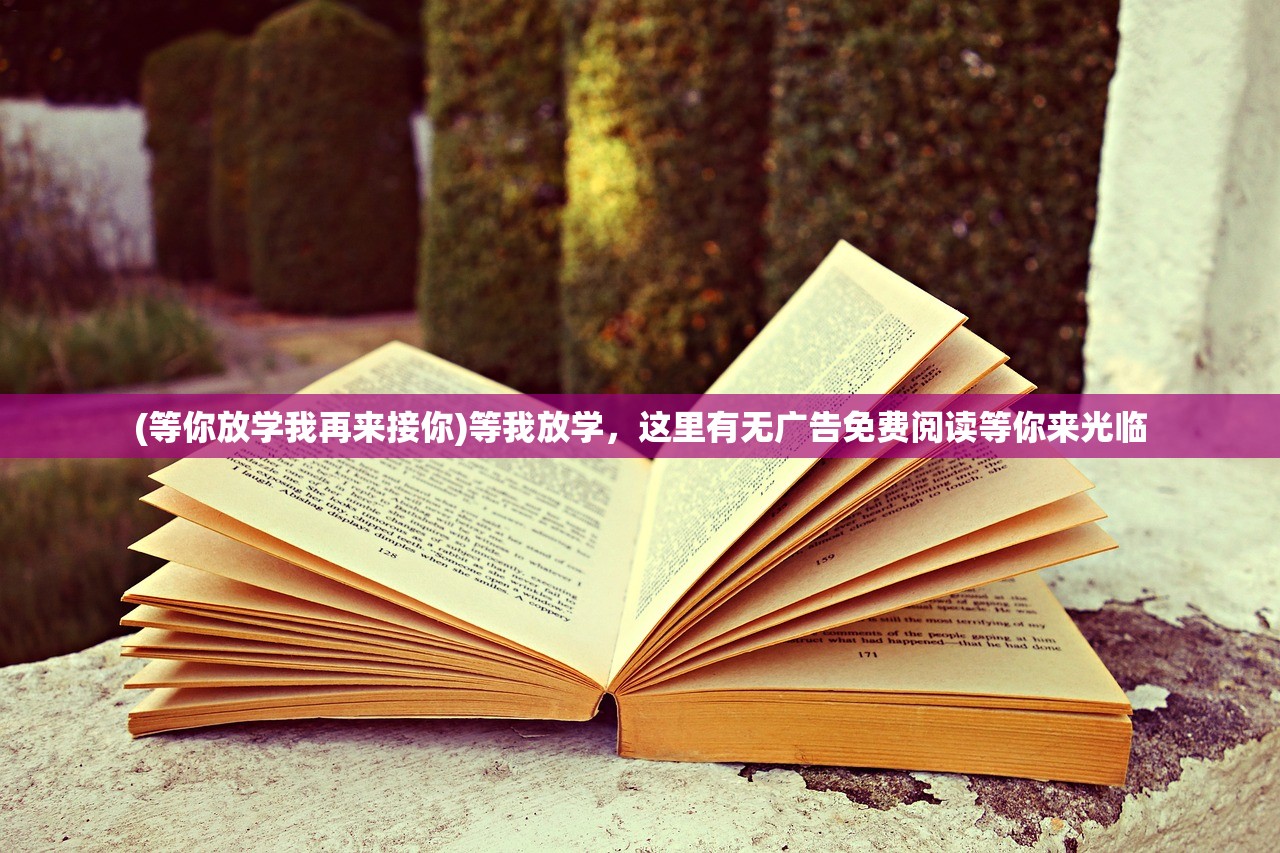 氧化物究竟是纯净物还是混合物？这个问题引发了许多科学家的思考和实验研究。