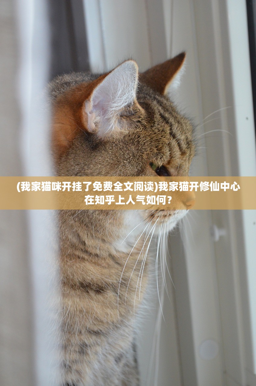(悟空官网网站)悟空COC官方网站：尽在指尖，探秘无限可能！