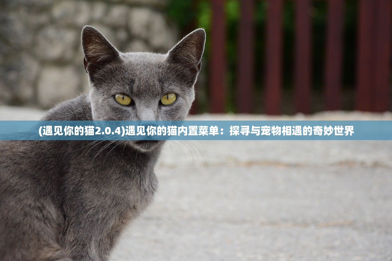(极限特警2023俄罗斯豆瓣评分)极限特警2023，俄罗斯的震撼与挑战