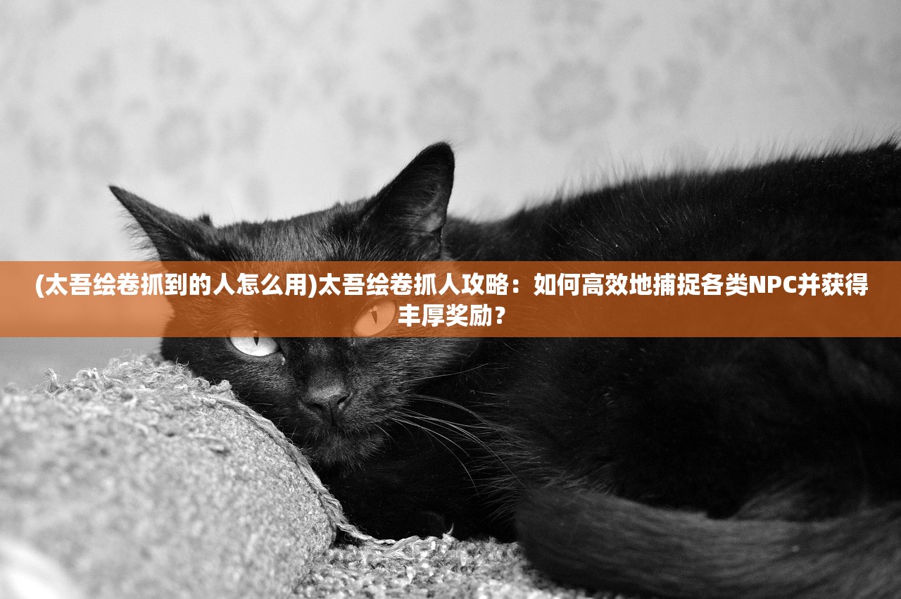 (我的合租女友原版游戏在线观看)我的合租女友原版游戏，深度解析与探索