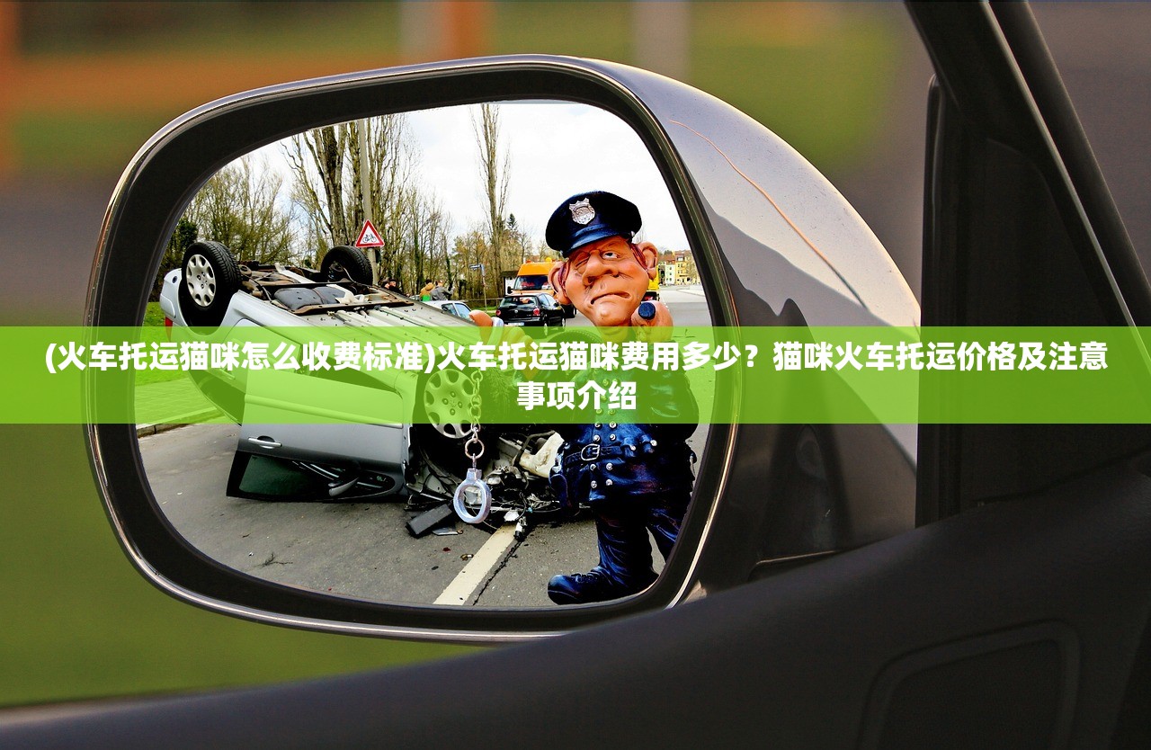 (艾泽拉斯自走棋gg修改教程)艾泽拉斯自走棋GG修改，深度解析与探索