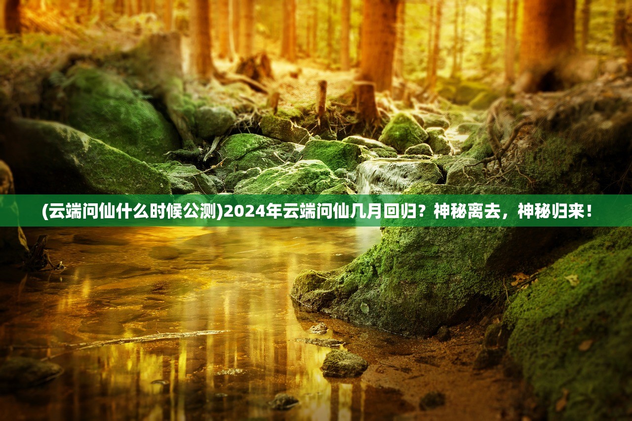 (黑魔导卡组构筑思路)不断进化的新手黑魔导卡组策略攻略指南