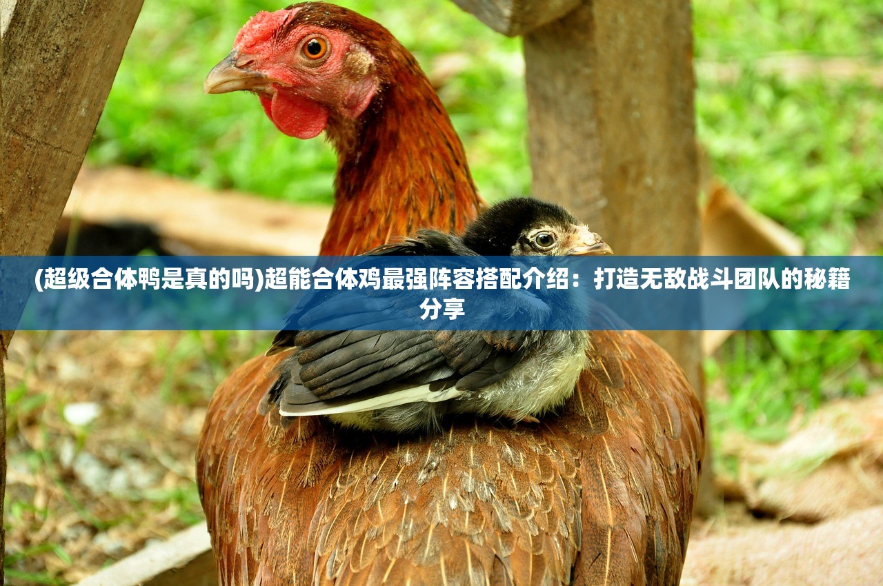 (一念逍遥韩服事件)一念逍遥韩服，游戏探索与常见问题解答