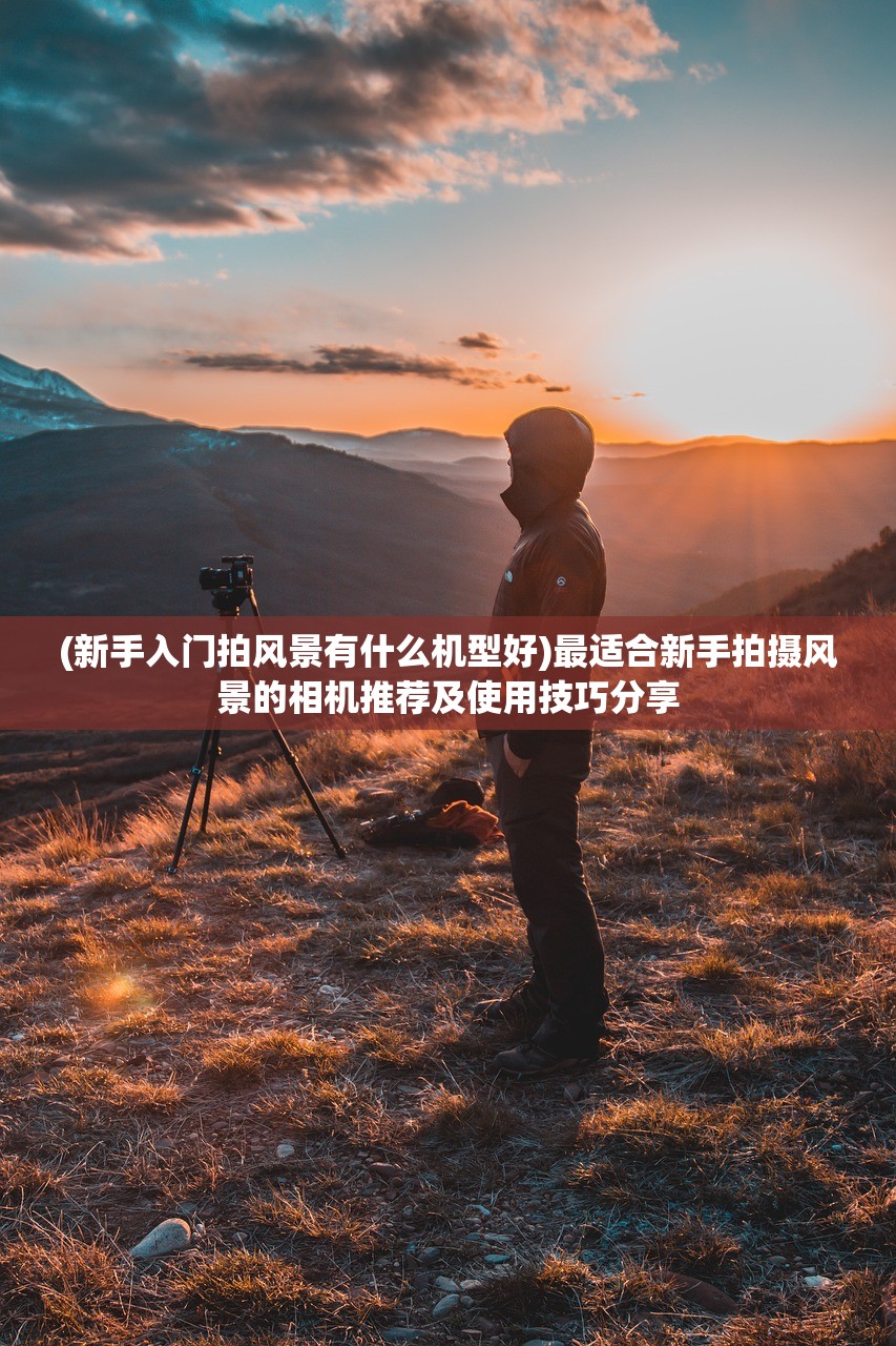 (霸道女总裁的全能兵王萧晨小说)霸道女总裁的全能兵王，权力与力量的交织