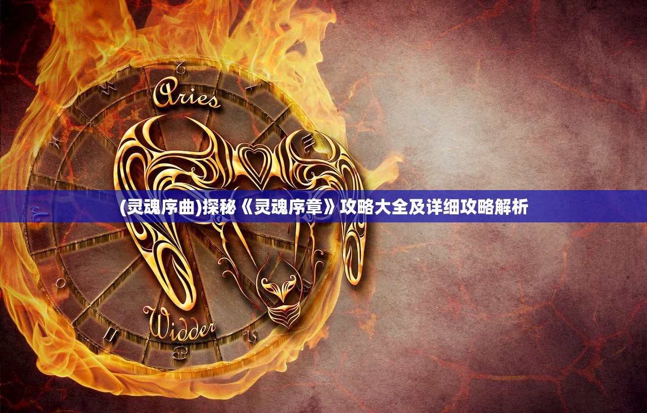(龙城传奇单职业礼包码)龙城传奇单职业，深度解析与探索