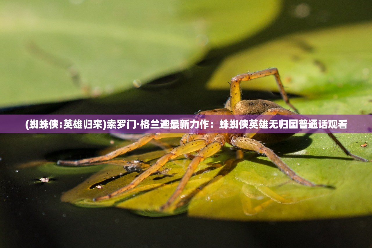 (小说北境龙帝)基于北帝龙黄楚辰的多元视角探究