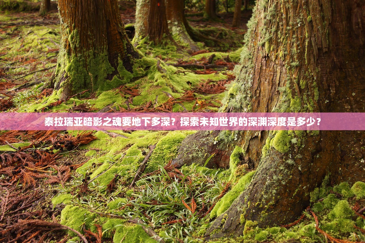 (三生三世十里桃花杨洋版免费)三生三世十里桃花免费版杨幂，深度解析与常见问题解答