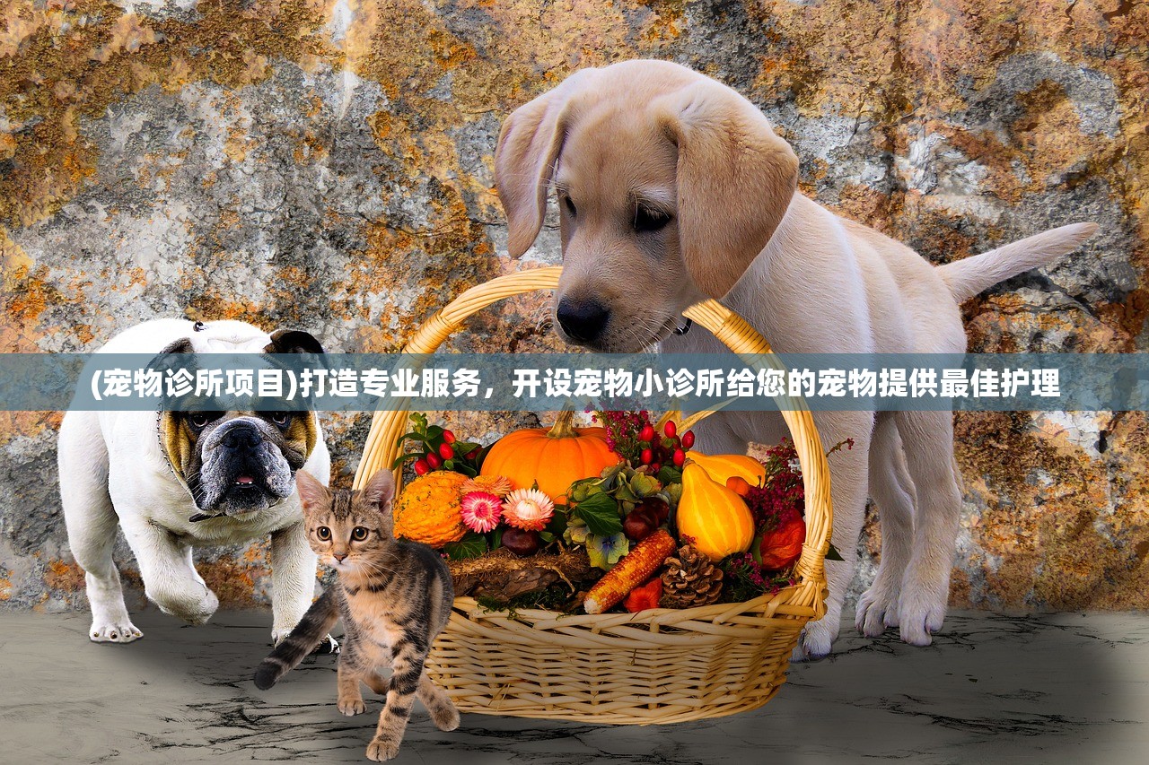 液化现象的原理解析：液化是一种物质状态转化的物理现象，探究其原理值得深思。