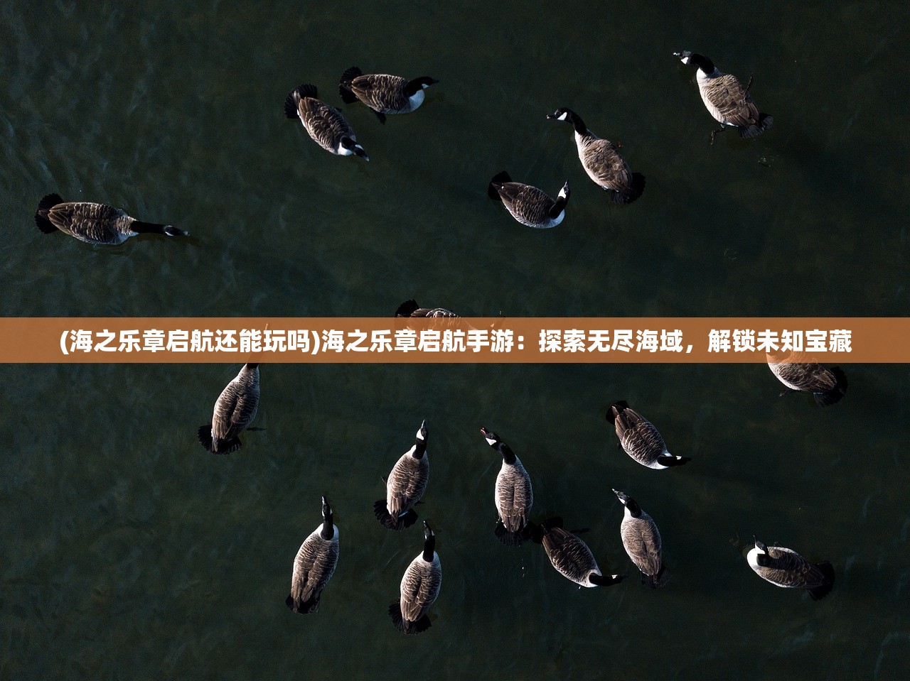 (逍遥情缘手游开服时间表最新)逍遥情缘手游开服时间表，全面解析与玩家常见问题解答
