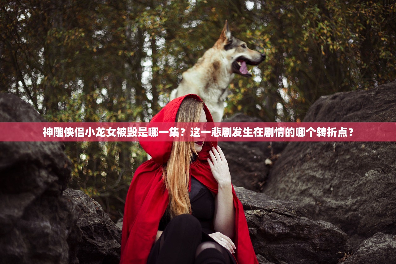 神雕侠侣小龙女被毁是哪一集?这一悲剧发生在剧情的哪个转折点? 神雕侠侣小龙女被毁是哪一集?这一悲剧发生在剧情的哪个转折点?