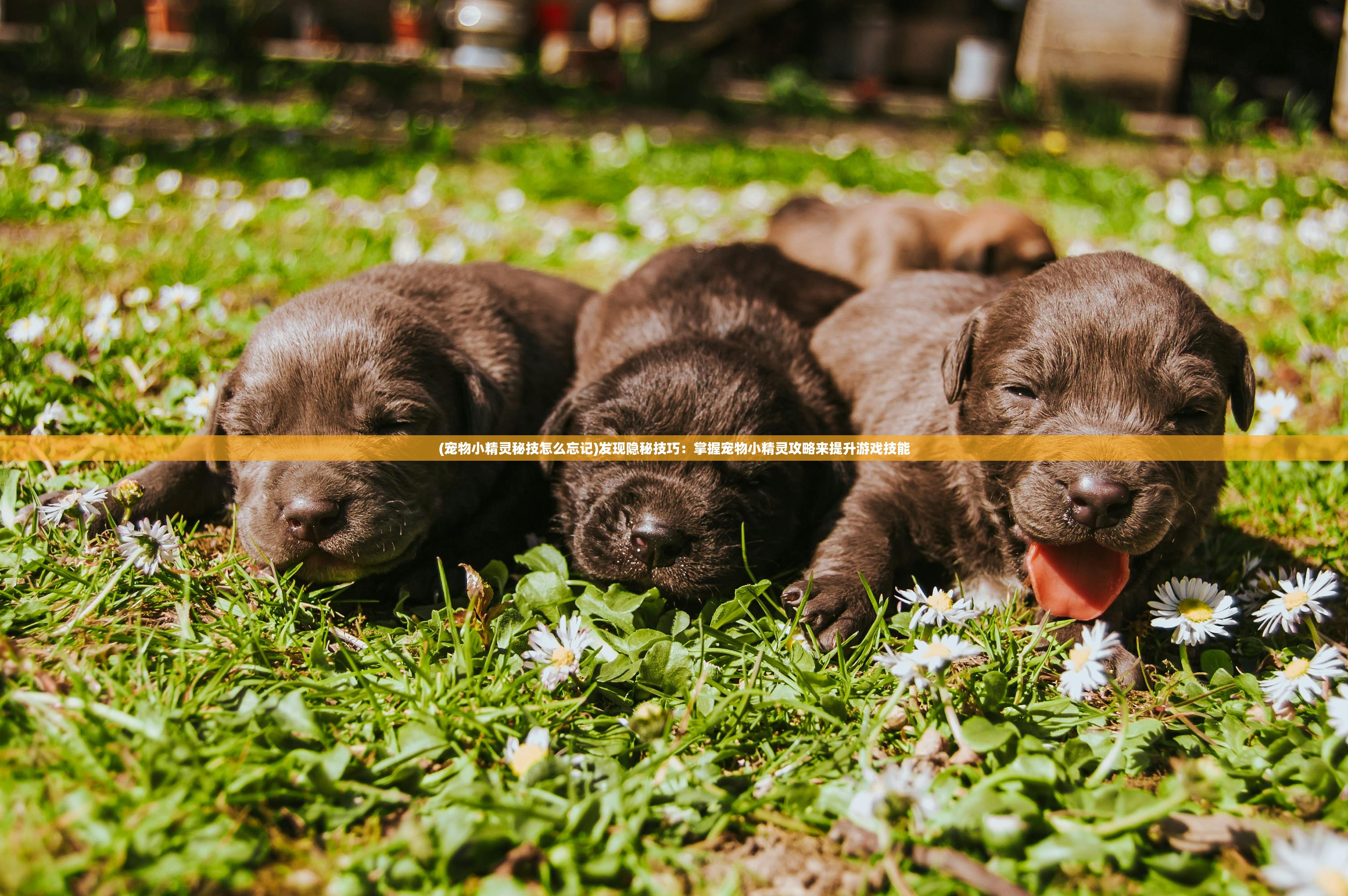 (逆天斩道手游下载)逆天斩道游戏,探索奇幻世界的无尽挑战 (逆天斩道手游下载)逆天斩道游戏,探索奇幻世界的无尽挑战