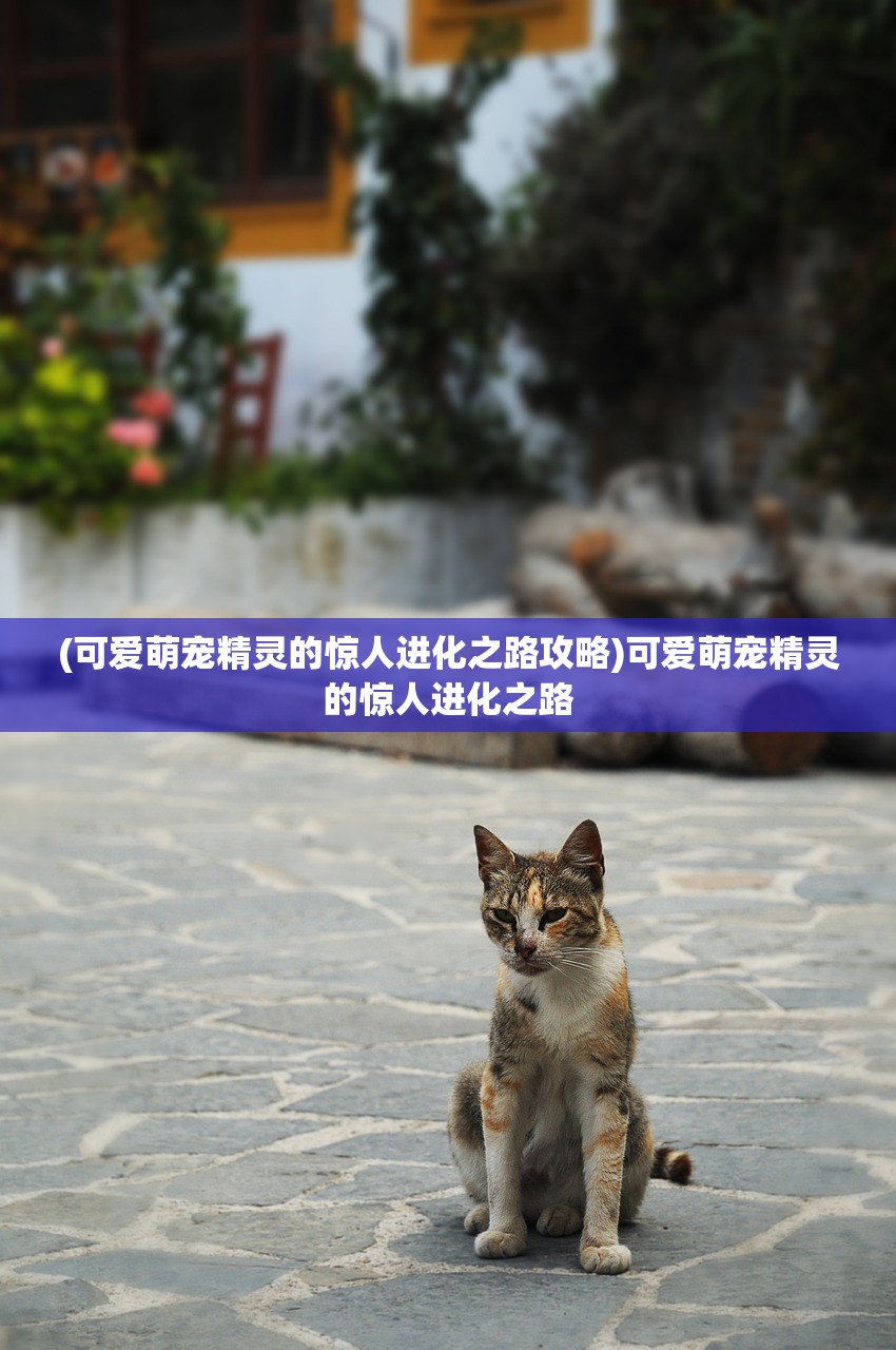 (小小英雄合战三国内购破解版下载)小小英雄合战三国内购版，深度解析与体验分享