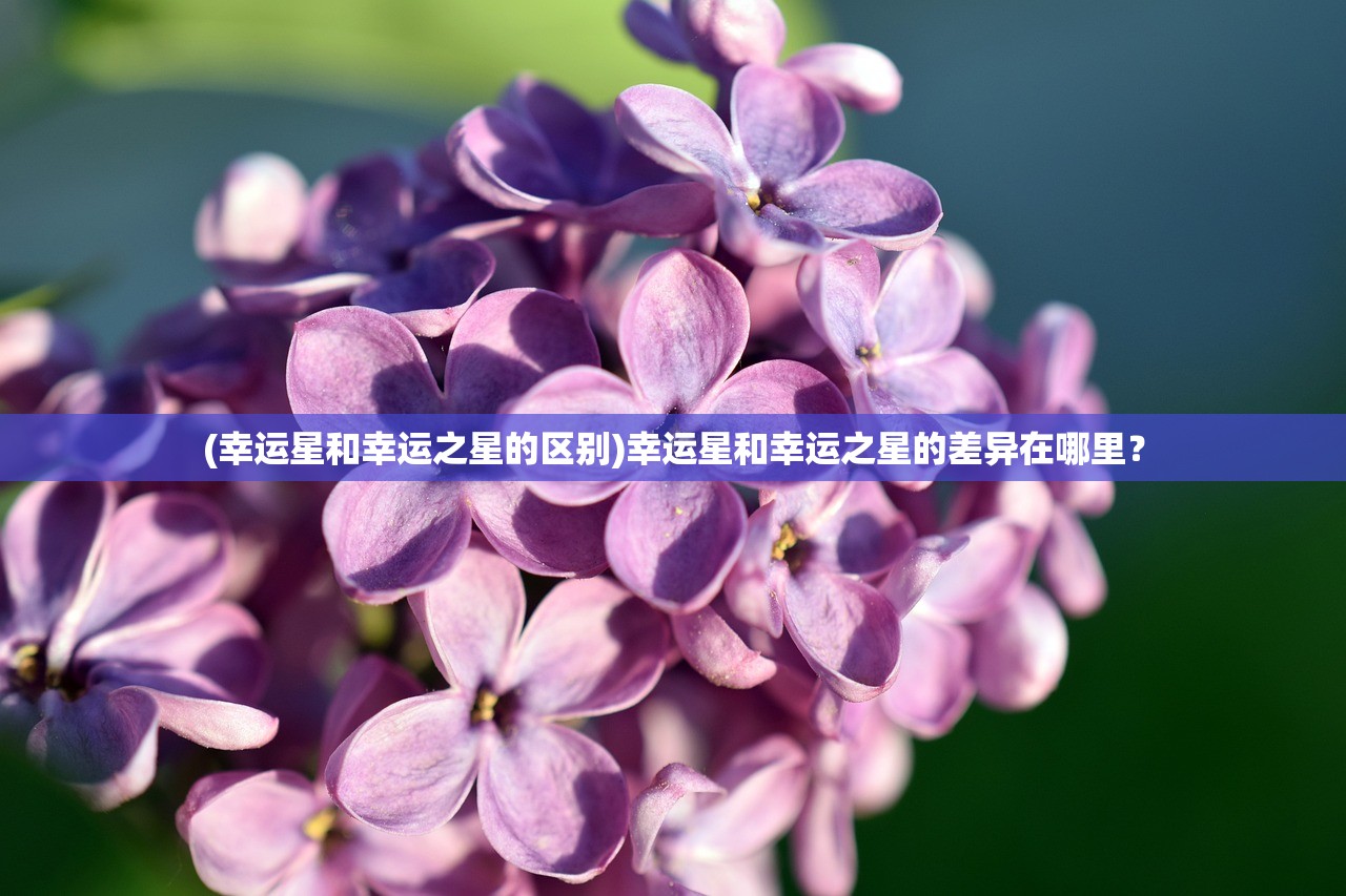 (伏魔情缘官网)伏魔情缘真的能领红包吗，深度分析与探讨