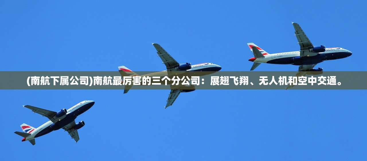 (南航下属公司)南航最厉害的三个分公司：展翅飞翔、无人机和空中交通。