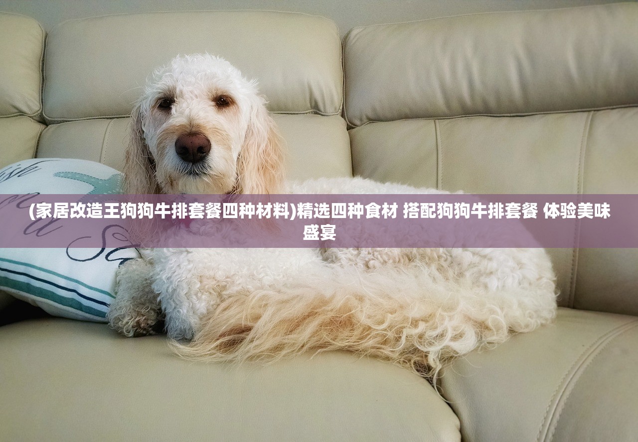 (家居改造王狗狗牛排套餐四种材料)精选四种食材 搭配狗狗牛排套餐 体验美味盛宴