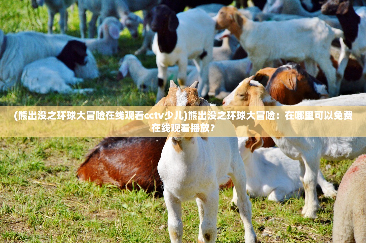 (熊出没之环球大冒险在线观看cctv少儿)熊出没之环球大冒险：在哪里可以免费在线观看播放？