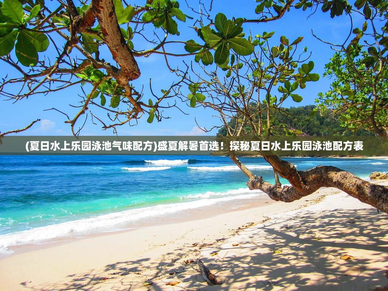 (蜀山掌门叫啥)蜀山掌门名字揭秘，探寻传说中的仙侠领袖