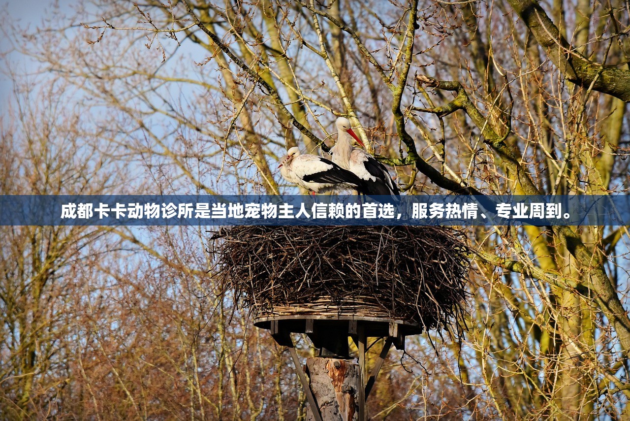 (仙域无双官网)仙域无双客服联系方式及常见问题解答