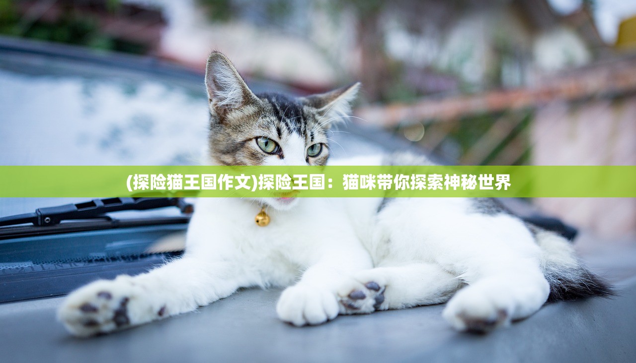 (神域召唤角色强度排行2020)神域召唤Wiki角色排名解析及热门角色探讨