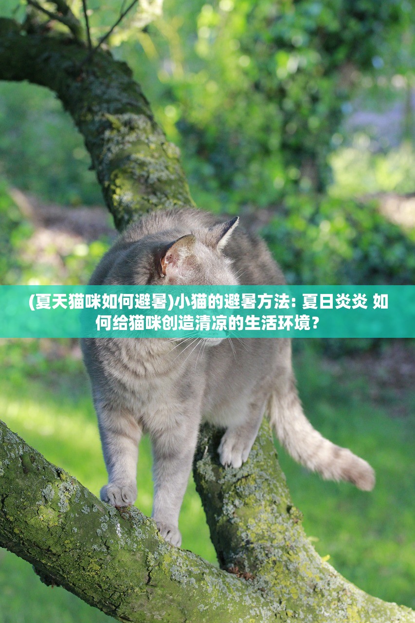 (赚够100亿免广告下载)赚够100亿，告别广告干扰——梦想与现实之间的探索