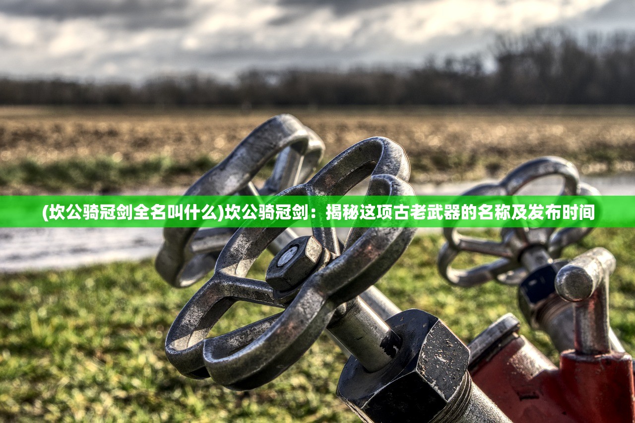 (百川的铭文怎么搭配)百川铸魂录,最强阵容推荐及深度分析 (百川的铭文怎么搭配)百川铸魂录,最强阵容推荐及深度分析