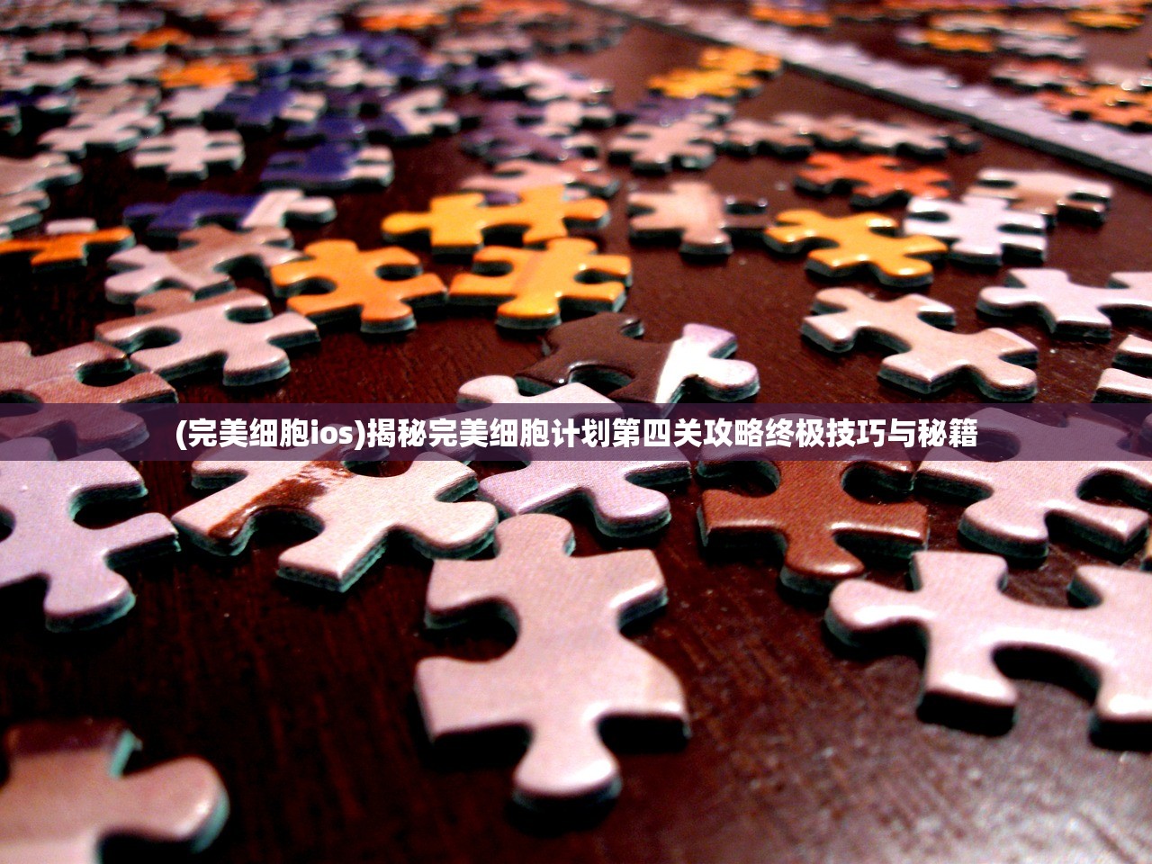 (反转21克全解锁下载)反转21克全解锁，探索背后的神秘与挑战
