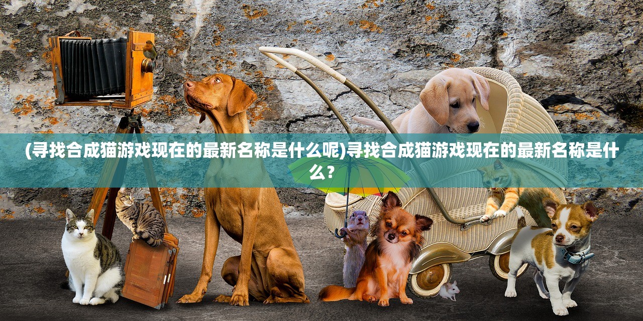 (美人传手游关闭了吗)美人传手游，古风美人世界的探索与体验