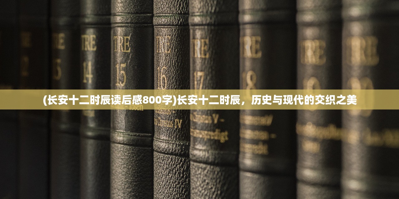 (长安十二时辰读后感800字)长安十二时辰，历史与现代的交织之美