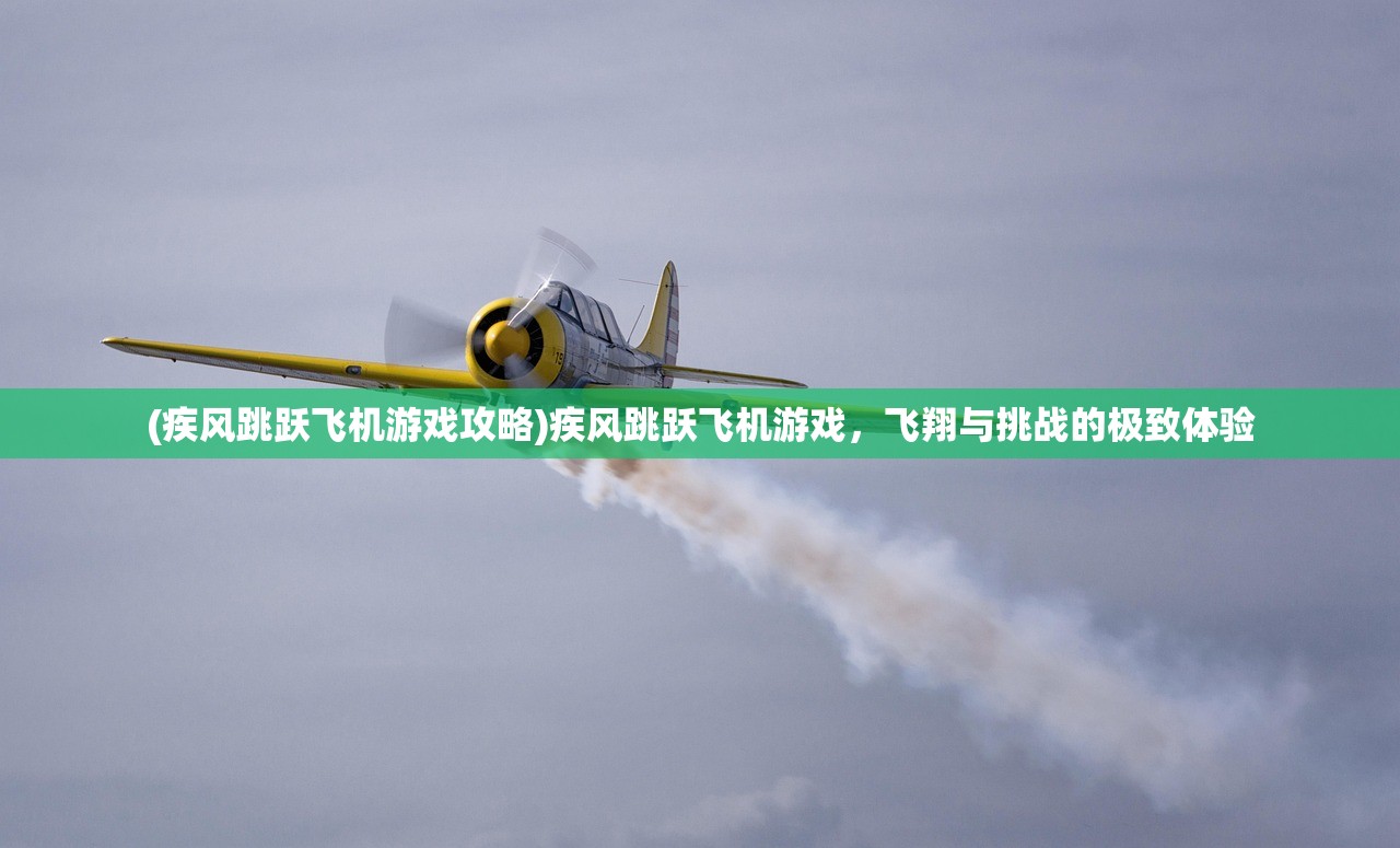 (疾风跳跃飞机游戏攻略)疾风跳跃飞机游戏，飞翔与挑战的极致体验