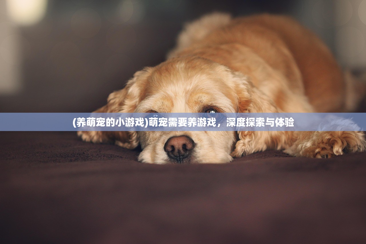 (狂暴西游为什么停服了呢)狂暴西游停服深度解析，原因与未来展望