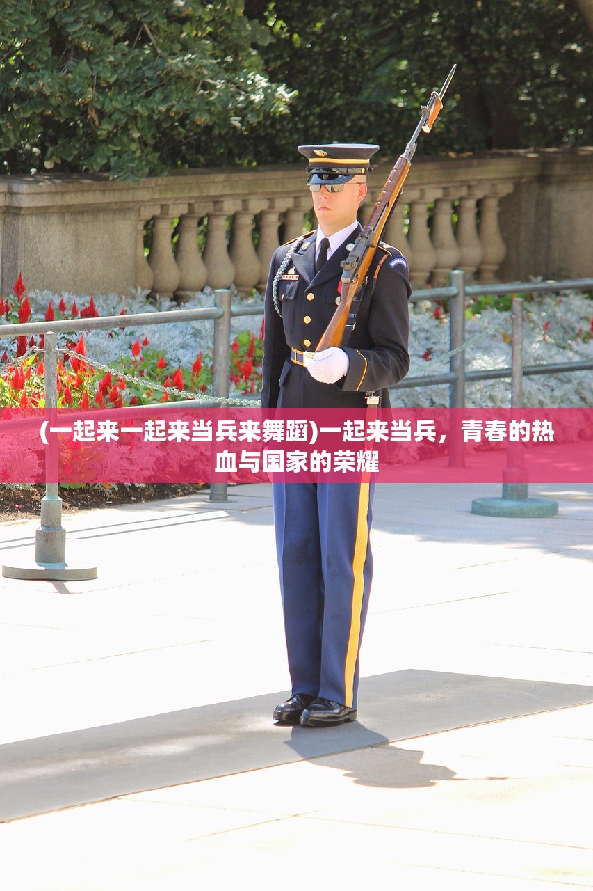 (一起来一起来当兵来舞蹈)一起来当兵，青春的热血与国家的荣耀