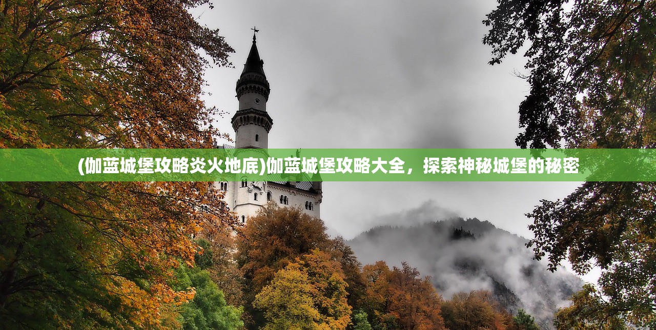 (伽蓝城堡攻略炎火地底)伽蓝城堡攻略大全，探索神秘城堡的秘密