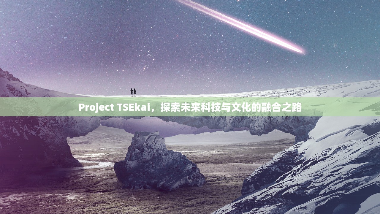 Project TSEkai，探索未来科技与文化的融合之路