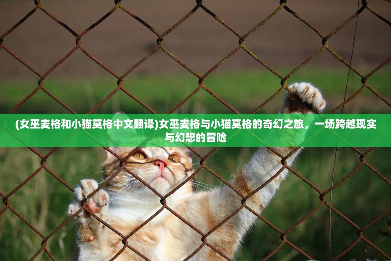 (近代侠义英雄传)侠义英雄传，古风侠义与英雄情怀的交融