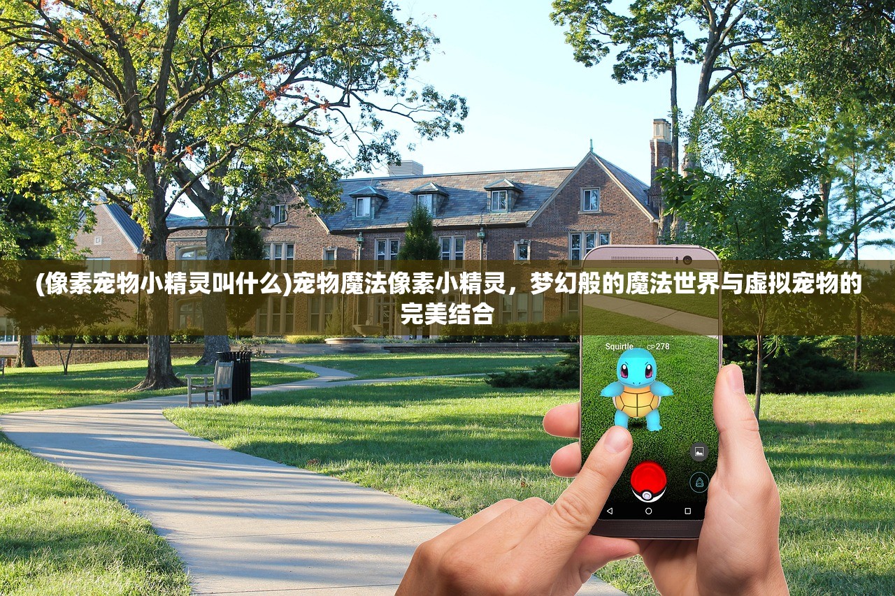 (像素宠物小精灵叫什么)宠物魔法像素小精灵,梦幻般的魔法世界与虚拟宠物的完美结合 (像素宠物小精灵叫什么)宠物魔法像素小精灵,梦幻般的魔法世界与虚拟宠物的完美结合