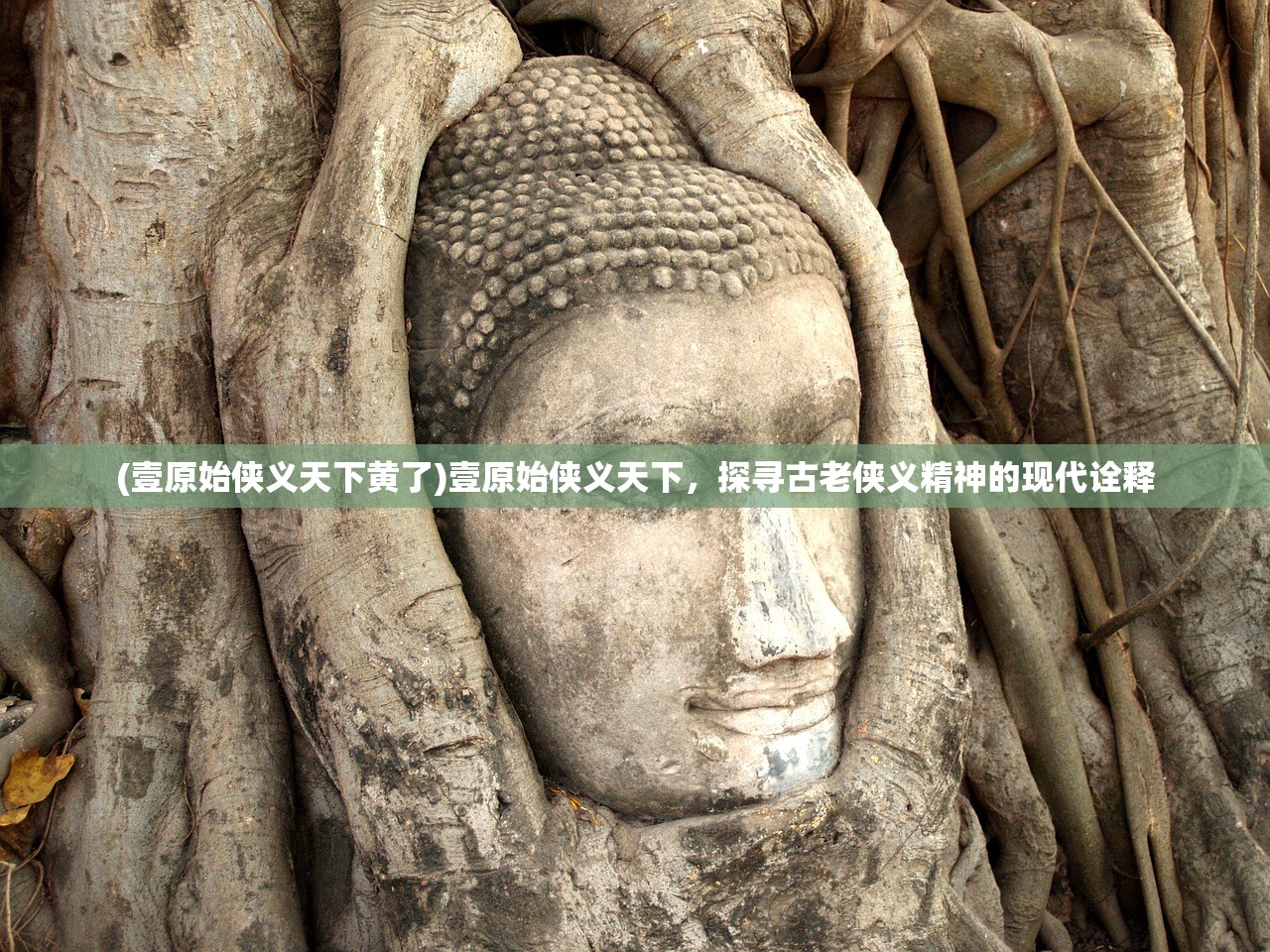 (壹原始侠义天下黄了)壹原始侠义天下，探寻古老侠义精神的现代诠释