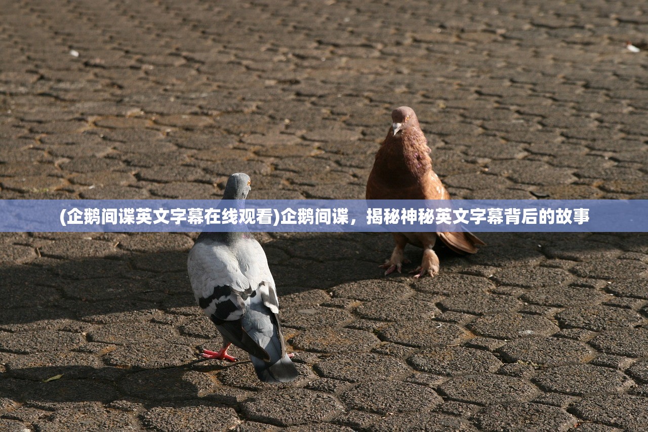 (企鹅间谍英文字幕在线观看)企鹅间谍，揭秘神秘英文字幕背后的故事