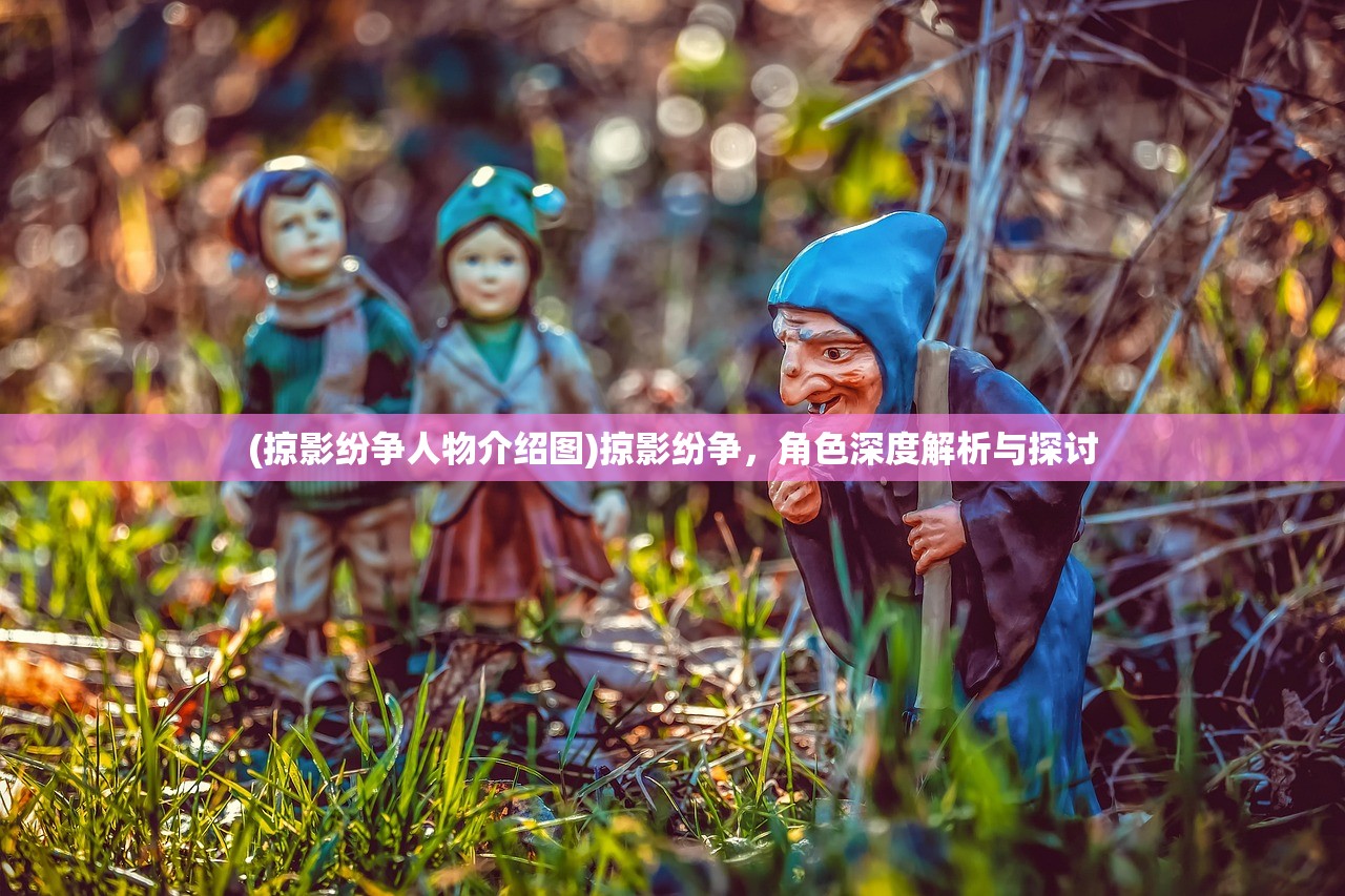 (掠影纷争人物介绍图)掠影纷争，角色深度解析与探讨
