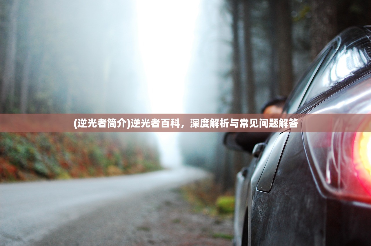 (逆光者简介)逆光者百科，深度解析与常见问题解答