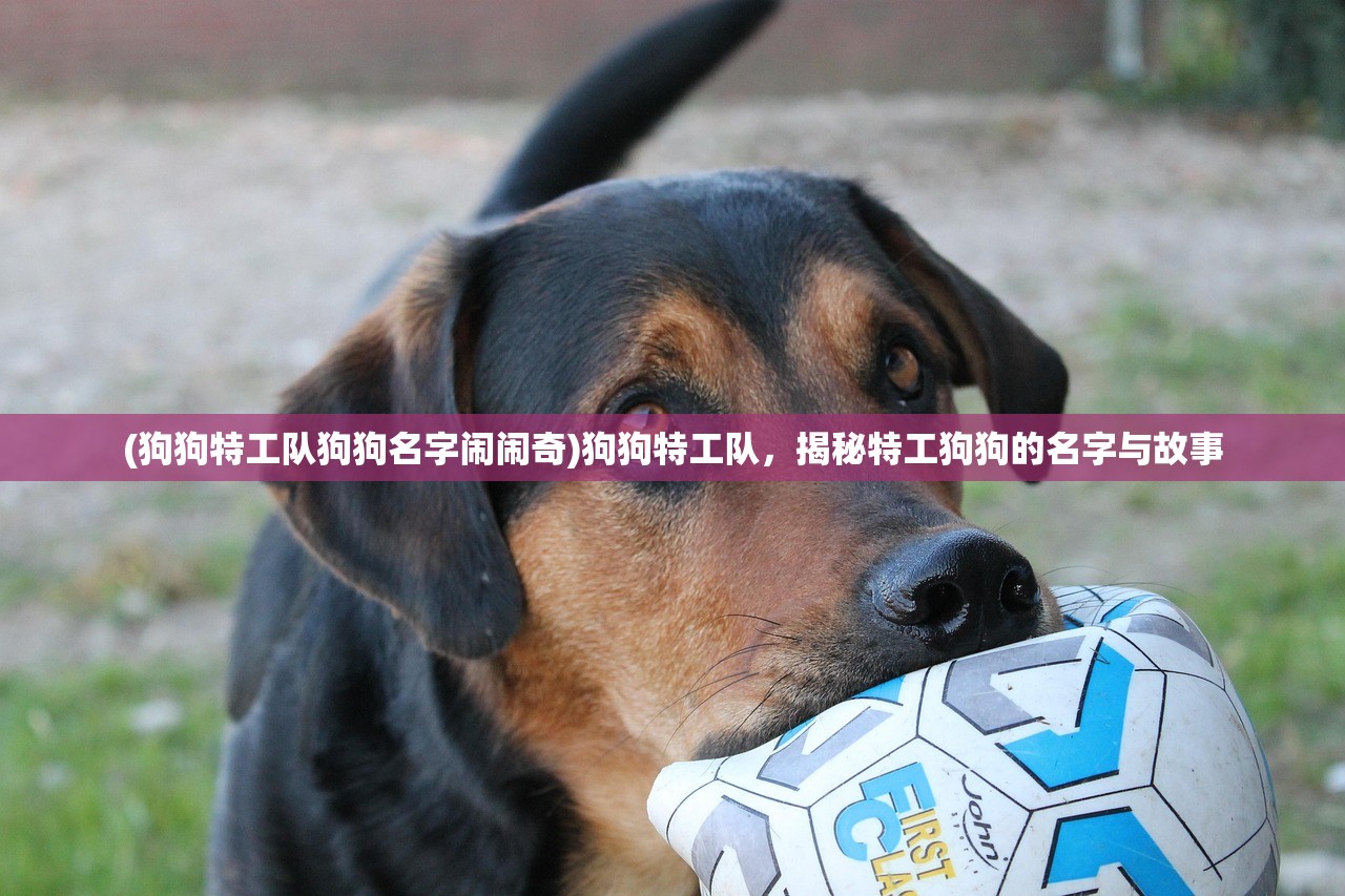 (明日领主职业设定详细攻略大全)明日领主职业设定详细攻略