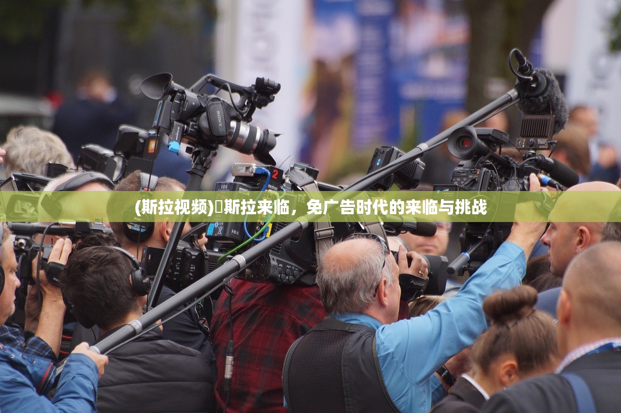 (斯拉视频)兎斯拉来临，免广告时代的来临与挑战