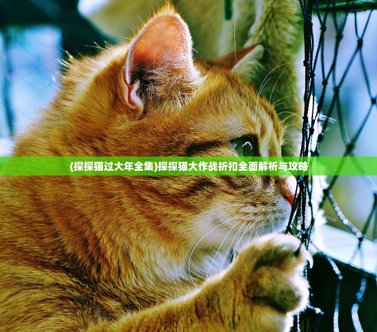 (平行旅途百度百科)平行仙途，探寻奇幻世界的奥秘与未来