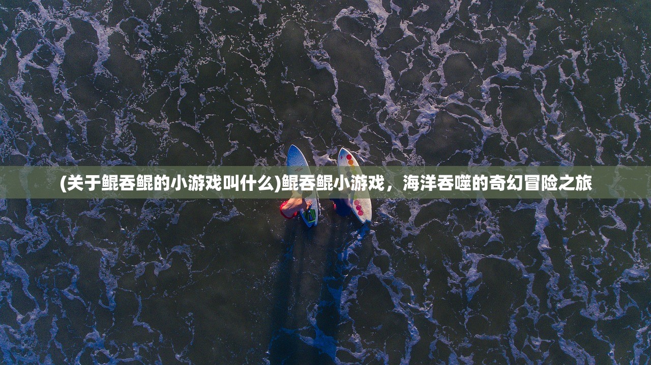 (免费翻译器实时翻译)免费翻译器的优势与挑战，多元化分析与应用探讨