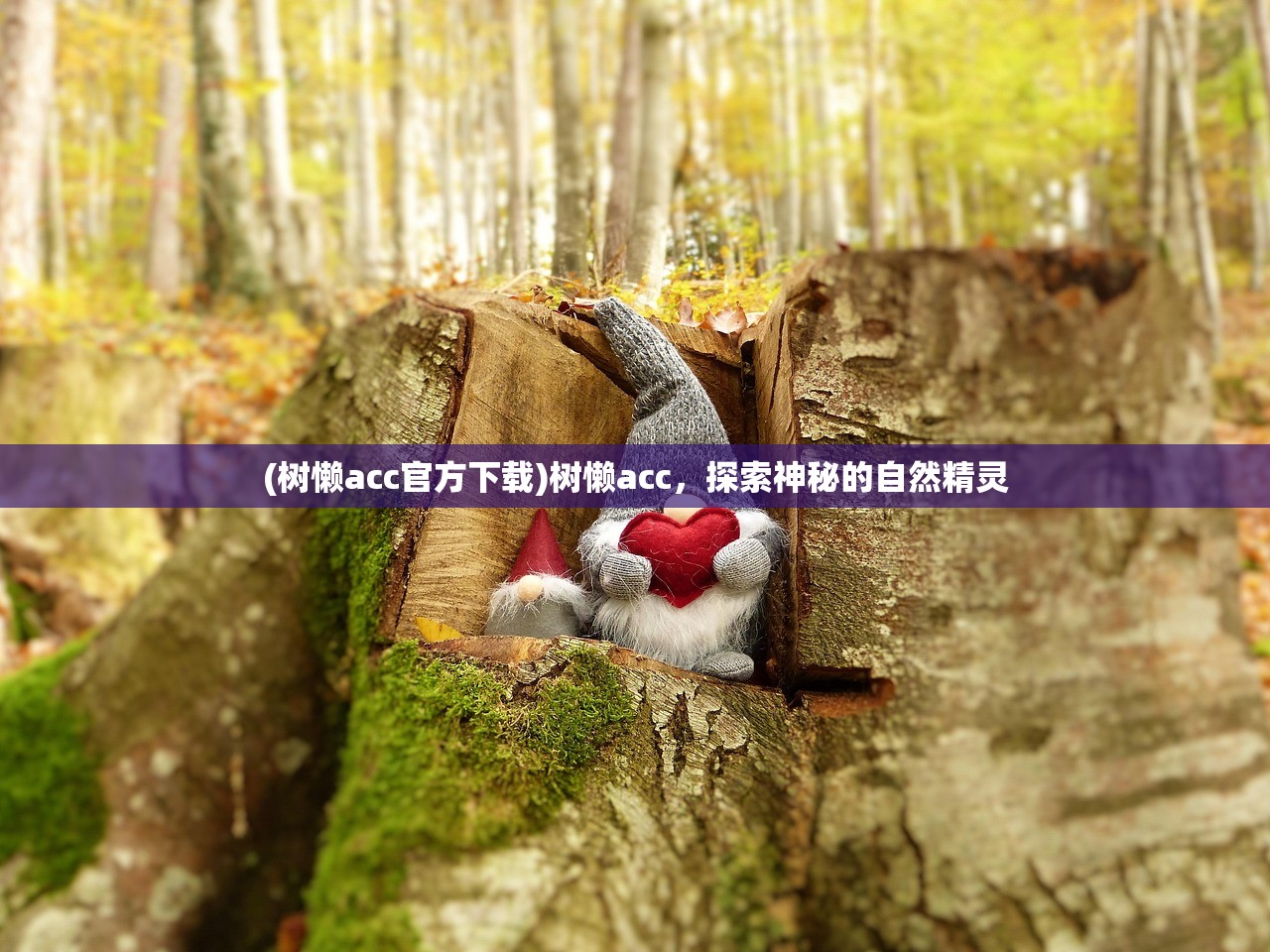 (树懒acc官方下载)树懒acc,探索神秘的自然精灵 (树懒acc官方下载)树懒acc,探索神秘的自然精灵